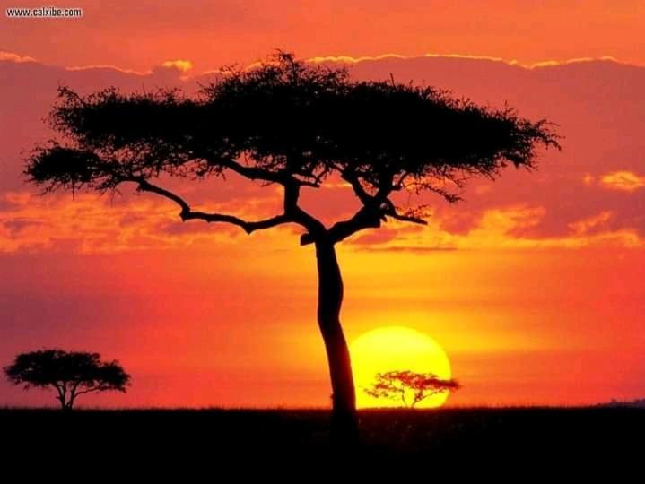 Ilkerin Camp Maasai Mara Bed & Breakfast Sekenani Екстериор снимка