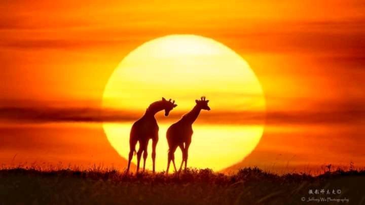 Ilkerin Camp Maasai Mara Bed & Breakfast Sekenani Екстериор снимка