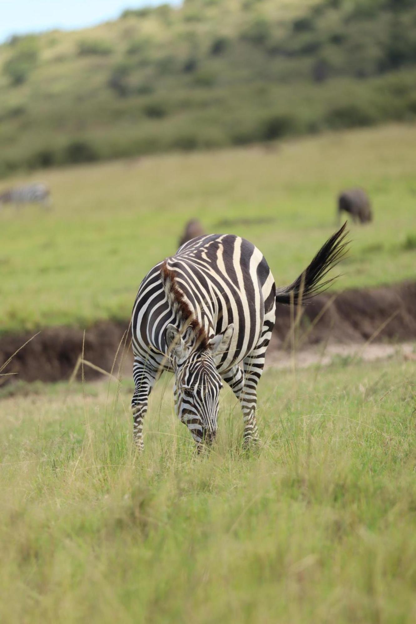 Ilkerin Camp Maasai Mara Bed & Breakfast Sekenani Екстериор снимка